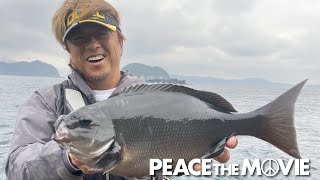 PEACE THE MOVIE #133「浅ダナ狙いに賭けて、納竿前にナイスフィッシュ」九州地方・大分県 米水津の旅/平和卓也（1508）