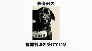 動物の信じられない雑学まとめ