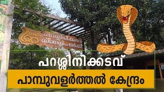 Parassinikkadavu Kannur Snake Park - Kochi Goa Road Trip Part 6