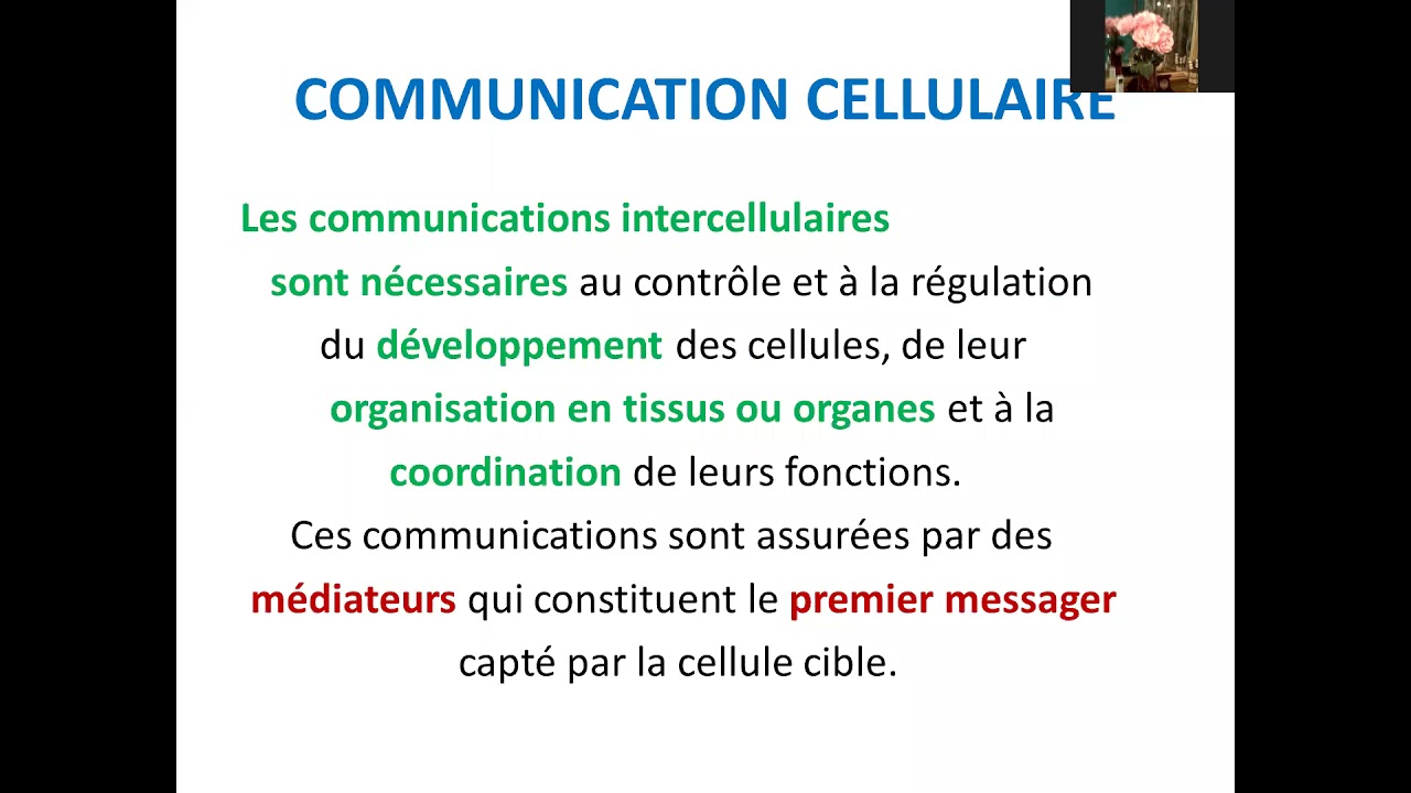 Communication Cellulaire - YouTube