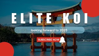 Elite Koi looking forward to 2025