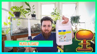 ALGAEFIX で藻類を除去しましょう!