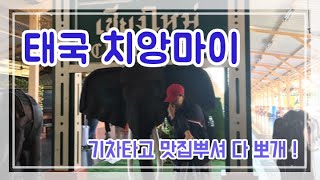 태국에서치앙마이가는방법|기차타고치앙마이|슬리핑기차|치앙마이맛집|통템토곱창집|동물원가기|เชียงใหม่โดยรถไฟ|베트남어자막|Video này cóphụ đề tiếngViệt