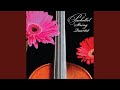 Pachelbel Canon in D