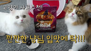 깐깐한 입맛의 고양이를 위한 사료추천!!! / 하림펫푸드 더리얼 할로윈 패키지 리뷰 / 점점 뚱냥이가 되어가는 고양이