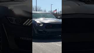 Loud Turbo Cobra