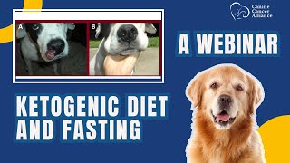 Ketogenic diet, fasting and dog cancer.