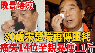 14位至親接連離世！80歲宋楚瑜暴瘦11斤近況曝光太心酸，與黃珊珊私密關係震驚全台#宋楚瑜 #黃珊珊 #茶娛飯後