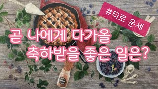 [타로/운세]🥳가까운 시기, 나에게 있을 축하받을 좋은 일은 무엇일까?🍀