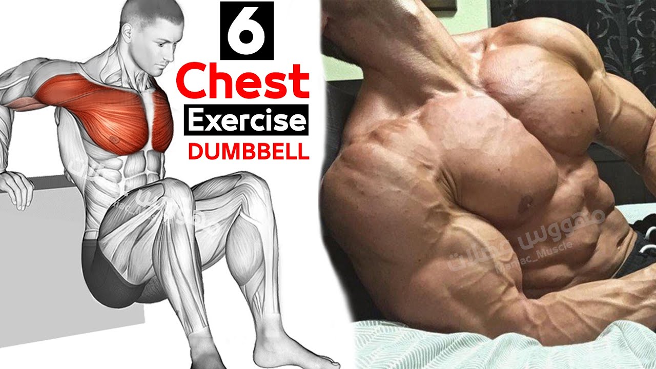 Chest Weight Exercises At Gerard Vega Blog