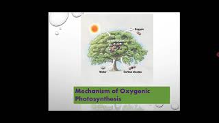 Asst.Prof.P.K.Gakkhad: Oxygenic Photosynthesis (TYBSc Metabolism MB 343) Lec:05