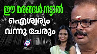 വാസ്തു പ്രകാരം നടേണ്ട മരങ്ങൾ, ഏതൊക്കെ ദിക്കുകളിൽ, അത് തരുന്ന ഗുണങ്ങൾ | ABC MALAYALAM JYOTHISHAM