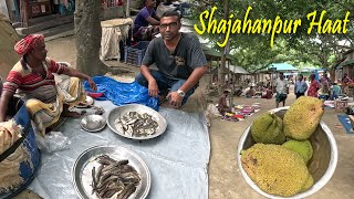 বর্ষায় শাহজাহানপুর হাটে কৃষি পন্যের আমদানী কম | Rural Village Market