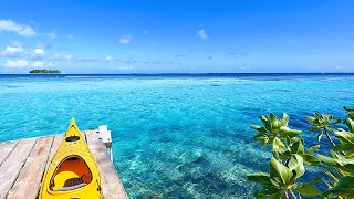 Tropical Island: 4K Bora Bora Ambience & 3 Hours of Ocean Sounds