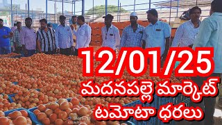 12-01-25 Madanapalle Tomato Market price Today || Today Tomato Market Rate in Madanapalle #today