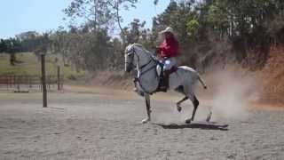 Chepe Sandí caballo Confisgao