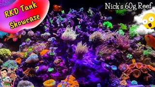 Nick's CUSTOM 60g Reef Aquarium - RKD Tank Showcase (Reef Keepers Delight)