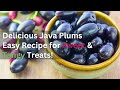 Delicious Java Plums: Easy Recipe for Sweet & Tangy Treats!