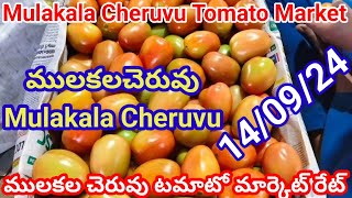 14 September 2024|| ఈరోజు ములకలచెరువు మార్కెట్లో టమాటా ధరలు || today Tomato rate in Mulakala Cheruvu