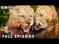Savanna's Deadliest Instinct & Survival (Full Episode) | Nature Animal Documentary