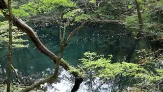 青森県　十二湖　沸壺の池