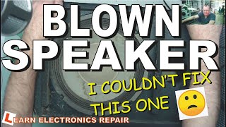 Dynacord Blown Speaker Repair - Could You Fix It?