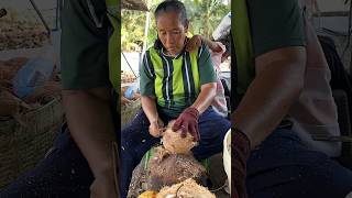 Coconut meat extraction process to make coconut milk #shorts