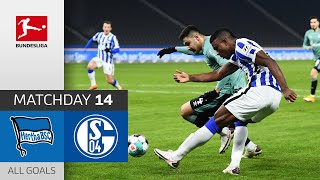 Strong Hertha with 3 Goals! | Hertha Berlin - FC Schalke 04 | 3-0 | All Goals