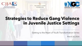 Strategies to Reduce Gang Violence in Juvenile Justice Settings