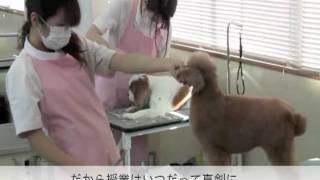 京都動物専門学校 ~2年生の実習~