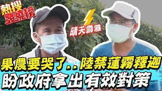 果農要哭了..陸禁蓮霧.釋迦 盼政府拿出有效對策｜熱搜發燒榜 @中天新聞CtiNews