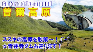 【旅ログ】曽爾高原ドライブ旅☆ススキの高原＆青蓮寺ダムを巡ります！【車載動画】