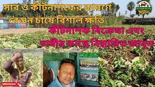 রাজশাহীর দুর্গাপুর উপজেলার শ্রীধরপুর গ্রামের সার ও কীটনাশকের কারণে বেগুন চাষে বিশাল ক্ষতি