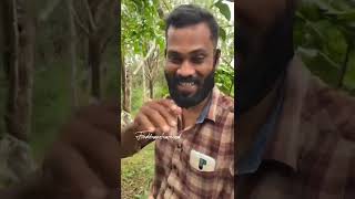 ചിക്കൻ ചുടല്‍ 🤤🤤🤤 #chicken #chickenrecipe #foodtravelrasheed #shorts #shortsvideo #foodlover