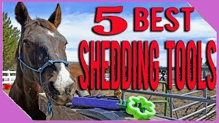 5 Grooming Tools That Make Shedding Out Your Horse Easier