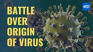 US and China battle over origin of virus | NTD