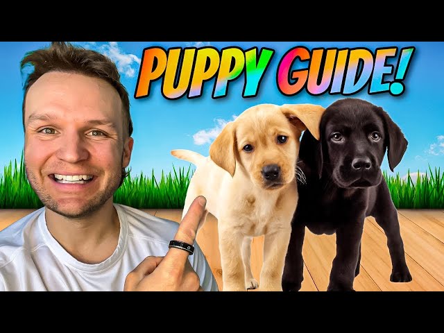 Puppy Guide 101