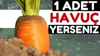 Akşamları 1 Adet Çiğ Havuç Vücudunuza Bunları Yapıyor | Havucun Faydaları Nelerdir?