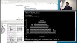 Installing LayNii on Linux with binaries