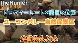 ユーコンバレー自然保護区の動物まとめ【theHunter:Call of the Wild】