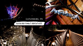 Bear at Anakeesta Gatlinburg TN. Anavista Tower, TreeTop Skywalk, Treehouse Village all at Night.