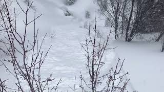 New snow avalanches, Bridger Range - 19 Apr 2023