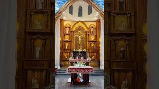 St.sebastians major archiepiscopal church Nedumkandam idukki