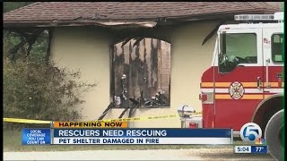 Rescuers need rescuing