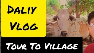 Tour to Village 😊 | Daily Vlog | Mian Ayub Vlogs | Mian Ayub