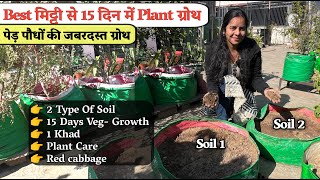 15 दिन में BEST मिट्टी से Plant Growth का लाइव RESULT देखो! – क्या सच में असर होता है?