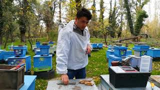 ვიდეო ―21. შემოდგომით საფუტკრეში დაშვებული შეცდომები.