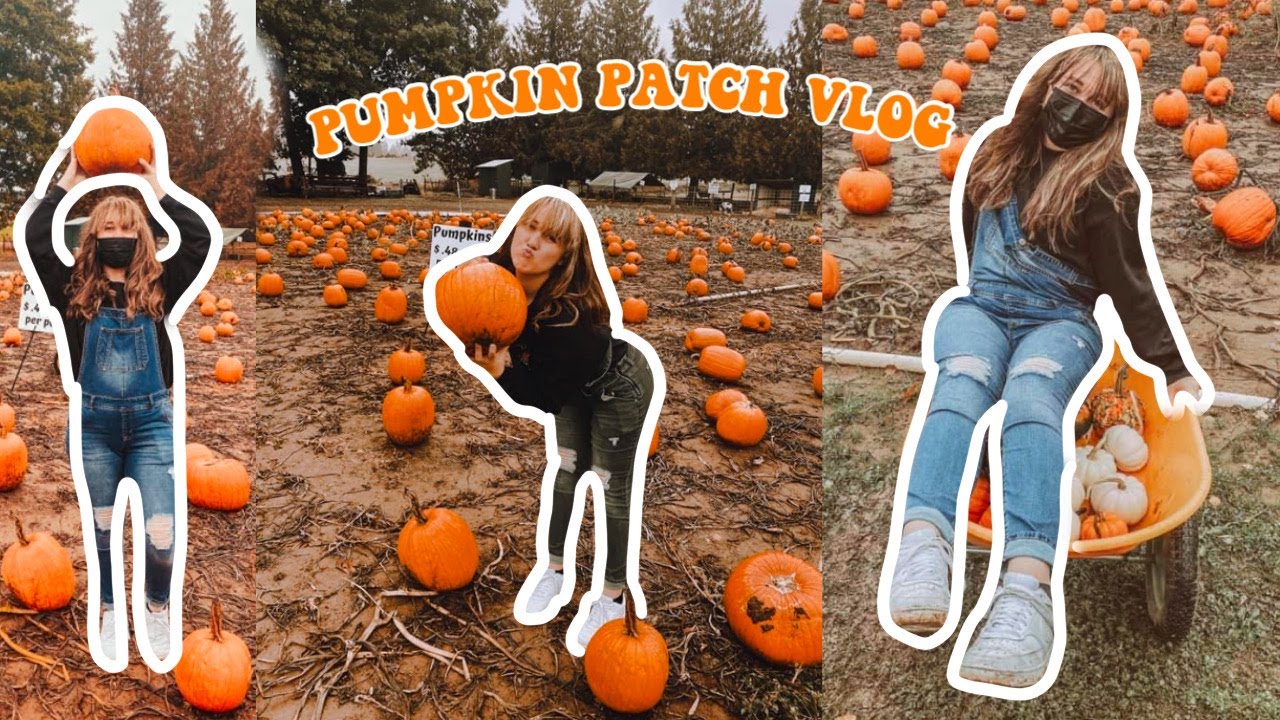 Pumpkin Patch Vlog Youtube