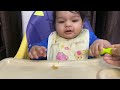 7 months baby morning to night routine 6 7 month baby food recipe