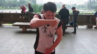 台灣食鶴拳（SHI-HE-QUAN/Crane Kungfu）